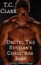 [The Wallflower's Series 03] • Dmitri · The Russian's Christmas Baby